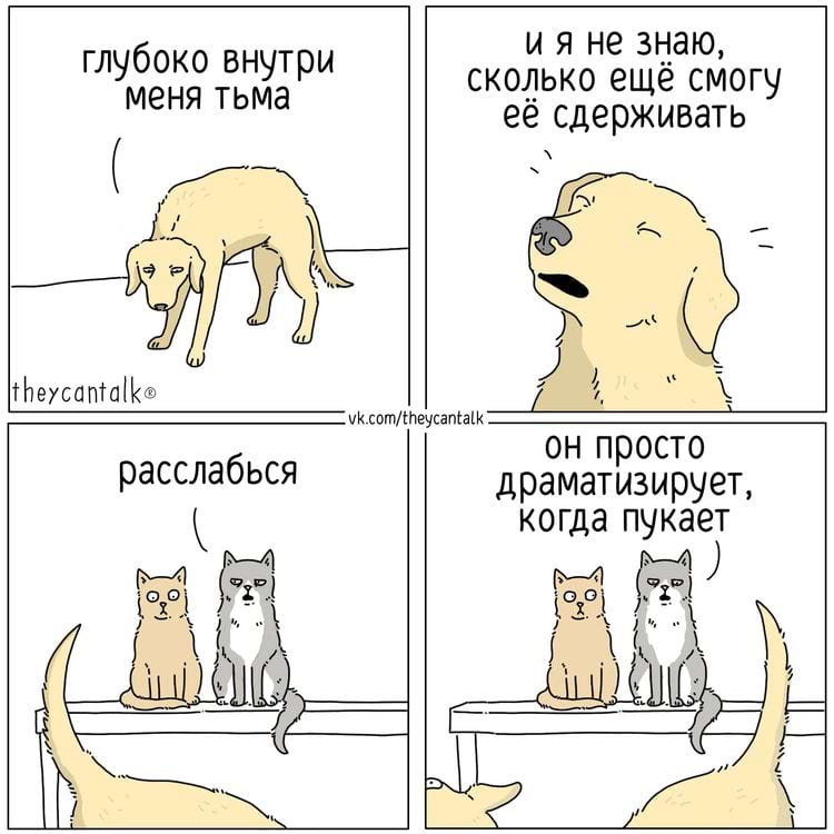 image-20241112143656-8