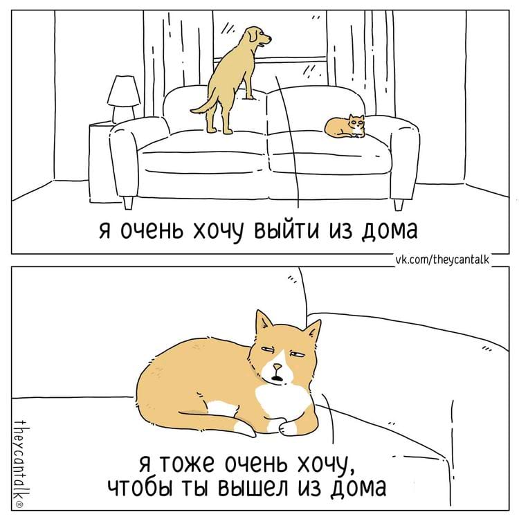 image-20241112143706-11