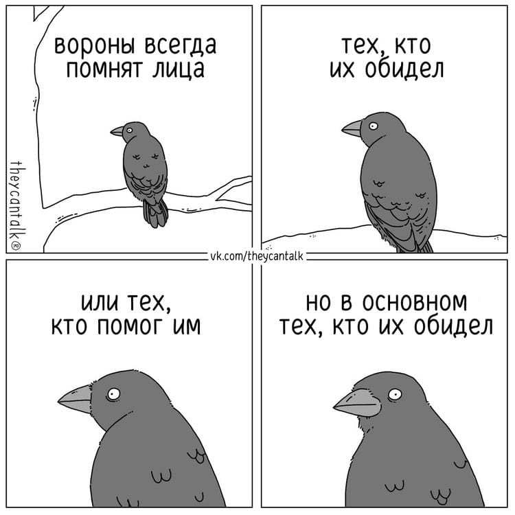 image-20241112143717-15