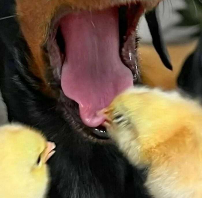 image-20241114131146-3