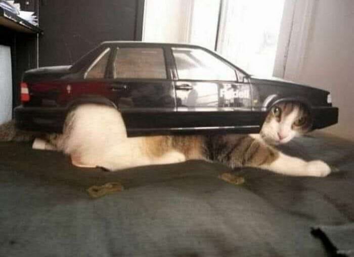 image-20241114131153-5