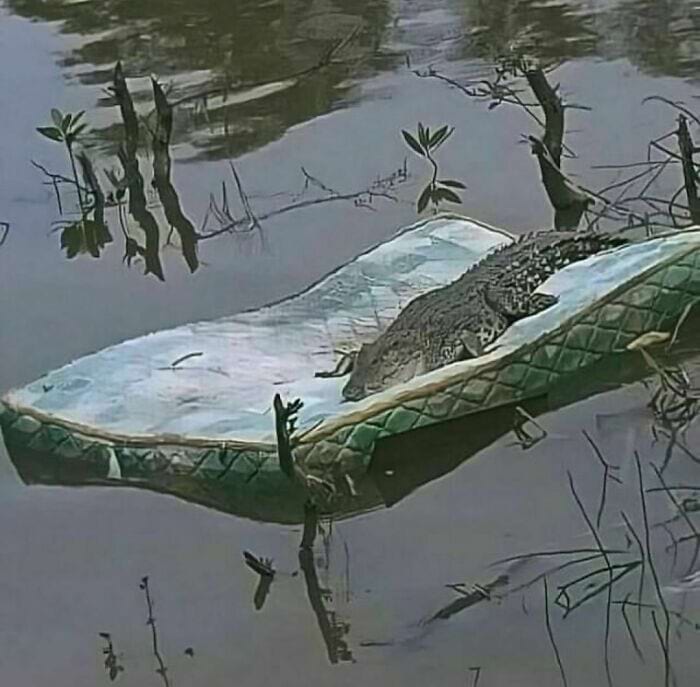 image-20241114131156-6