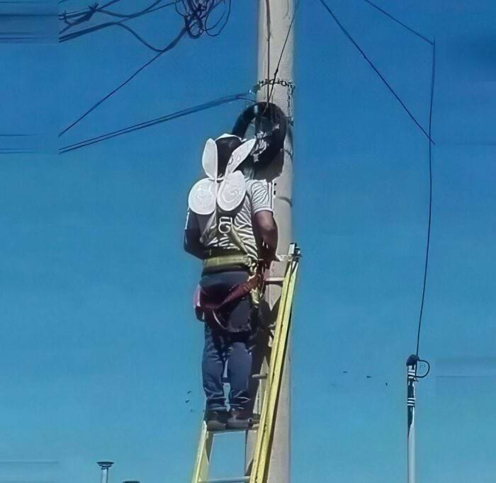 image-20241114131202-8