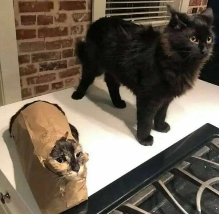 image-20241114131228-16