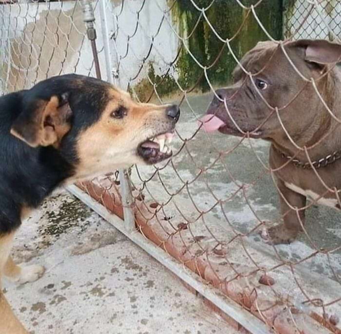 image-20241114131235-18