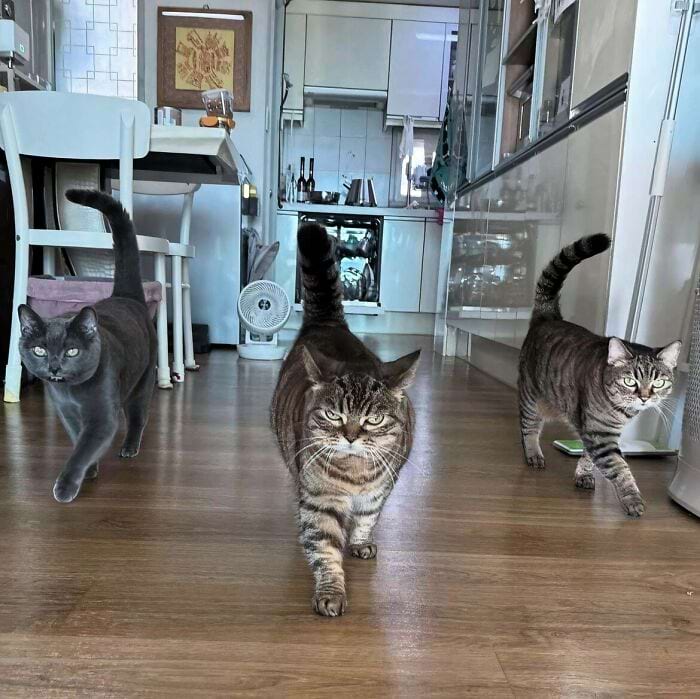 image-20241114180937-1