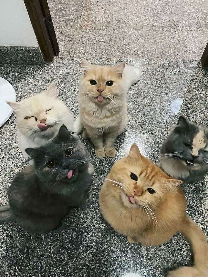 image-20241114180939-2