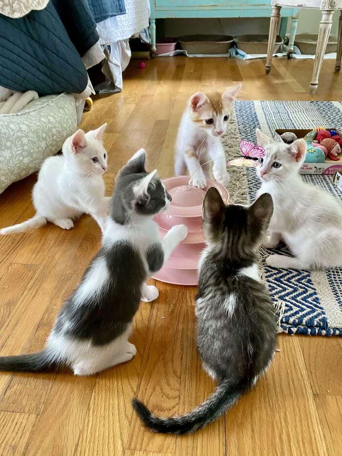 image-20241114180945-4