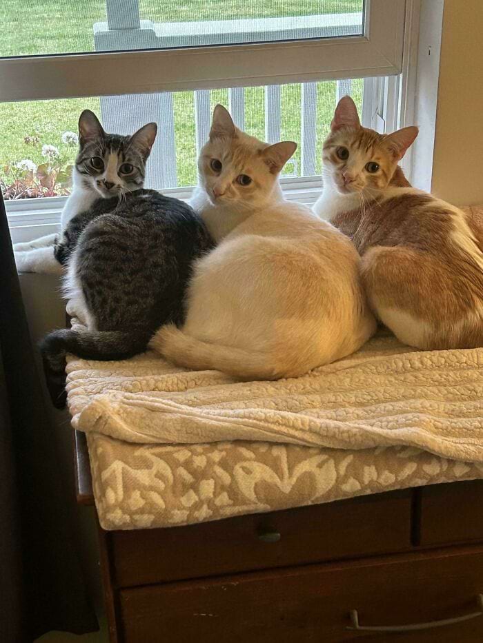 image-20241114180949-5