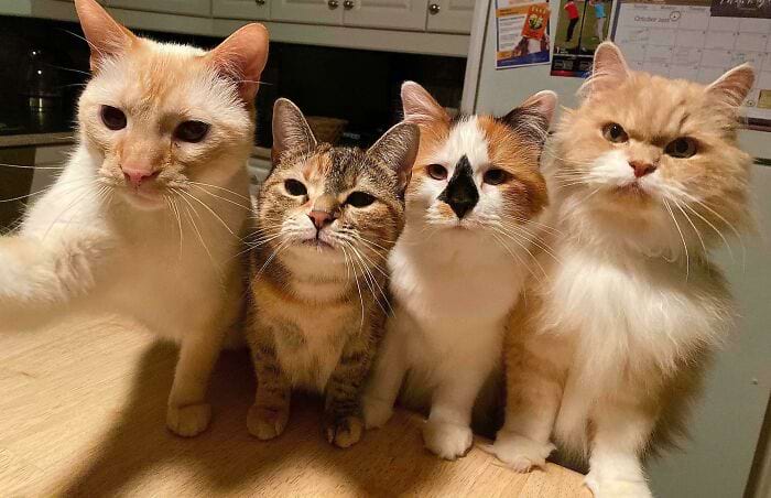 image-20241114180955-7