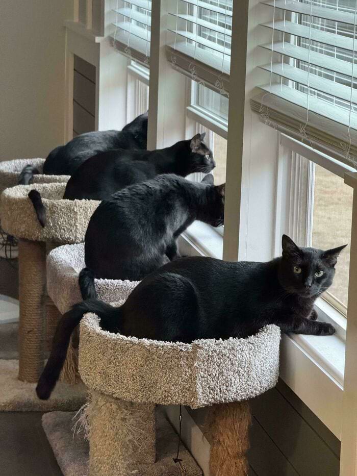 image-20241114181034-9