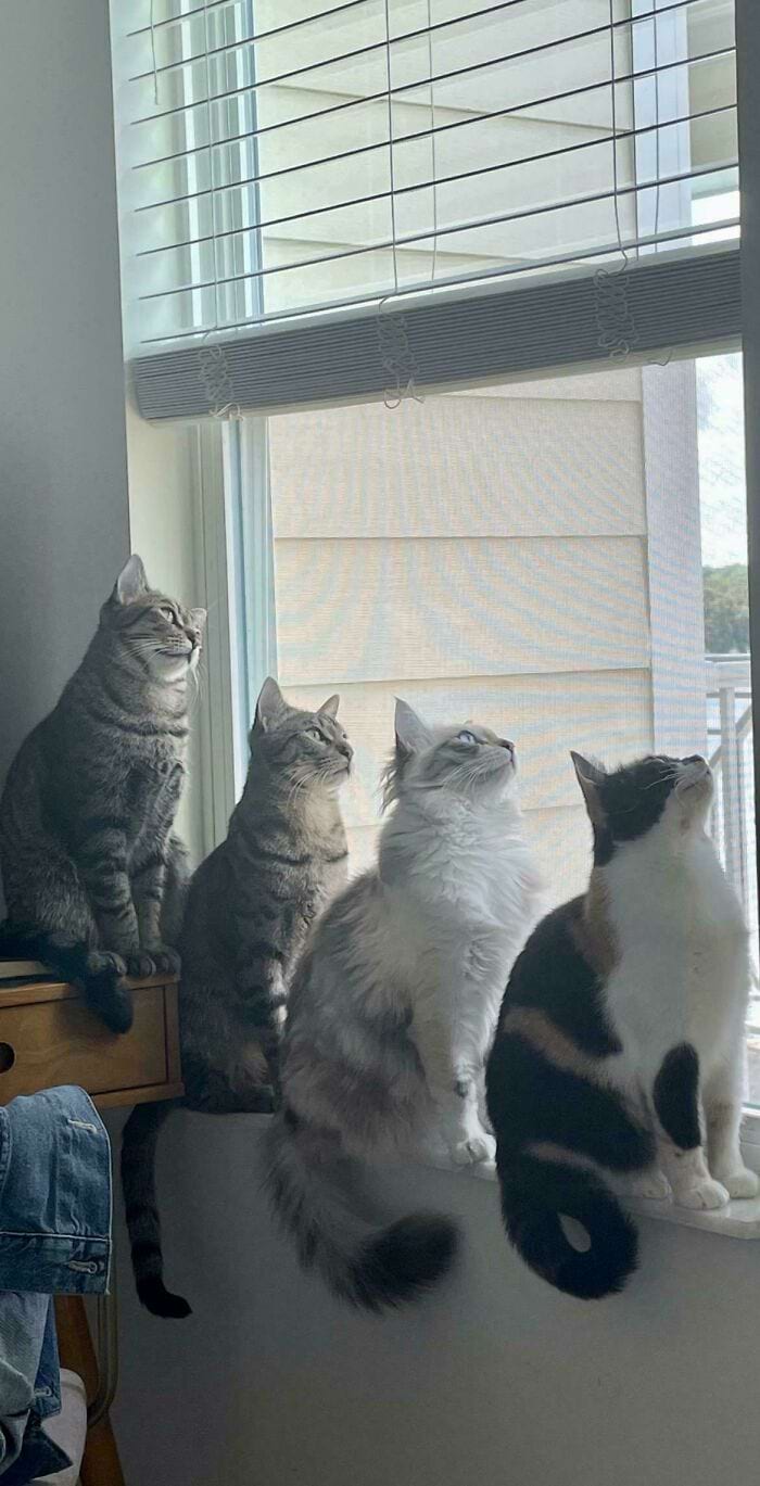 image-20241114181041-11