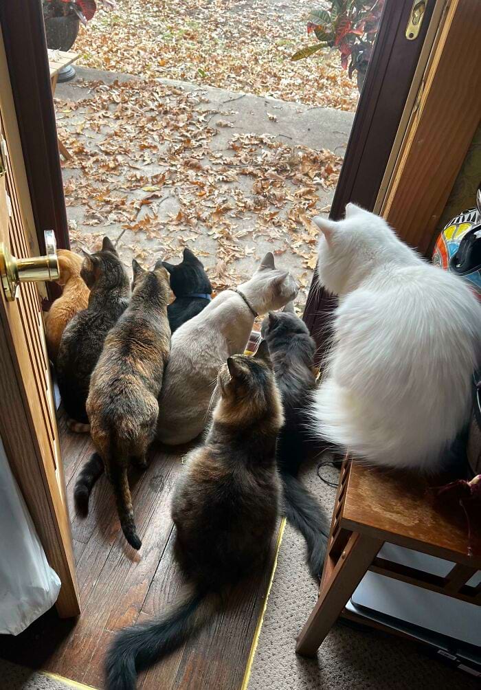 image-20241114181044-12