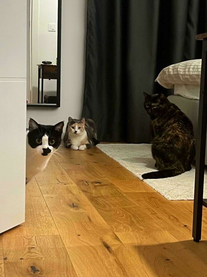 image-20241114181047-13