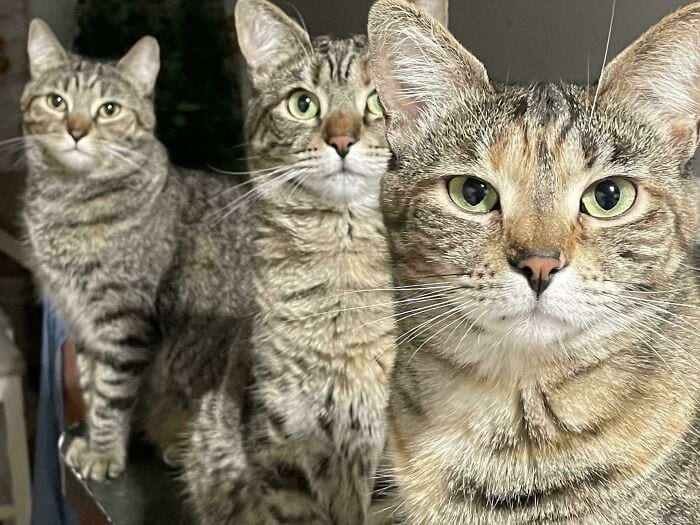 image-20241114181052-14