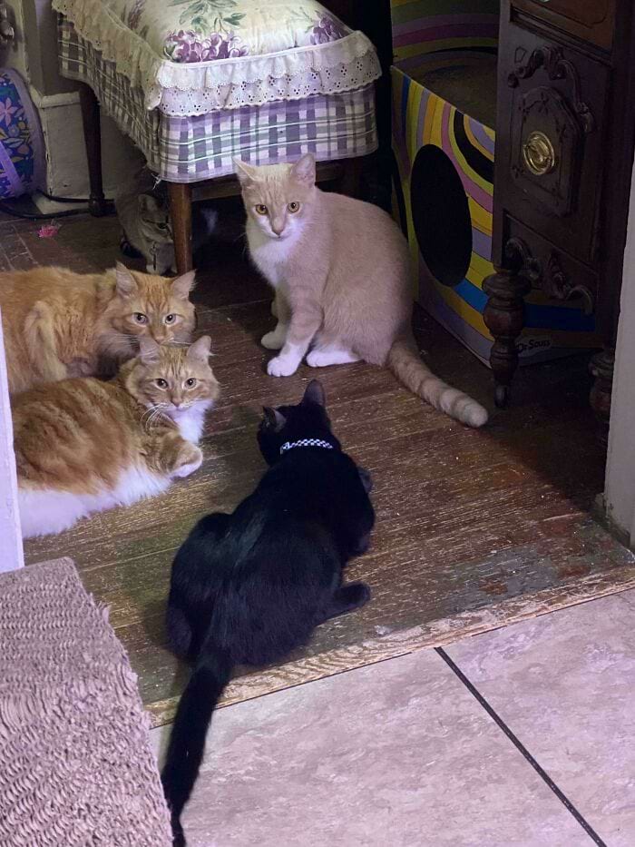 image-20241114181056-15