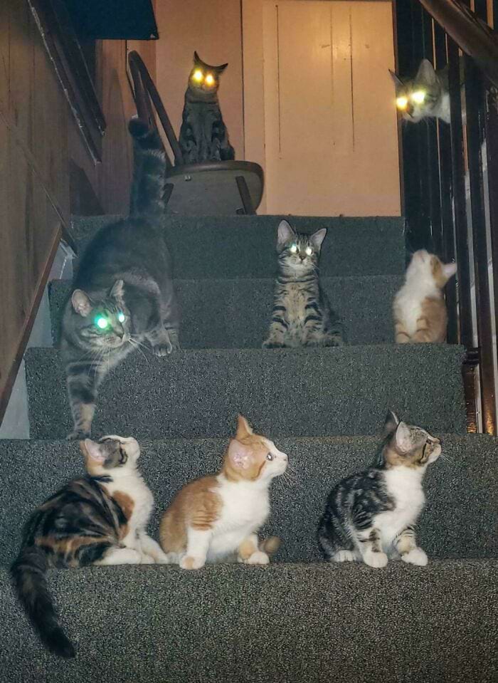 image-20241114181059-16