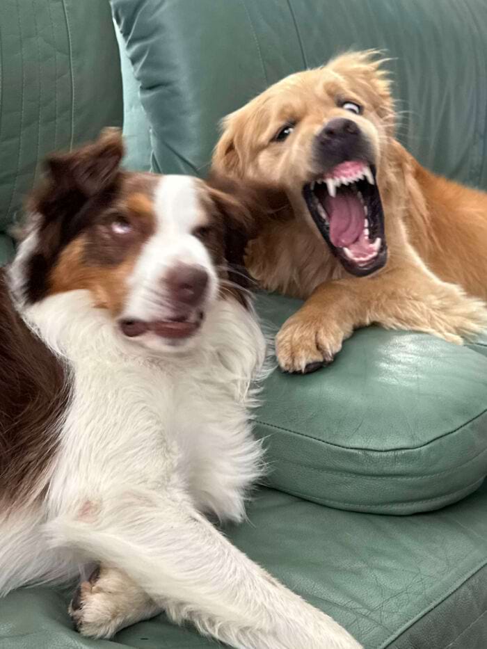 image-20241118172334-1