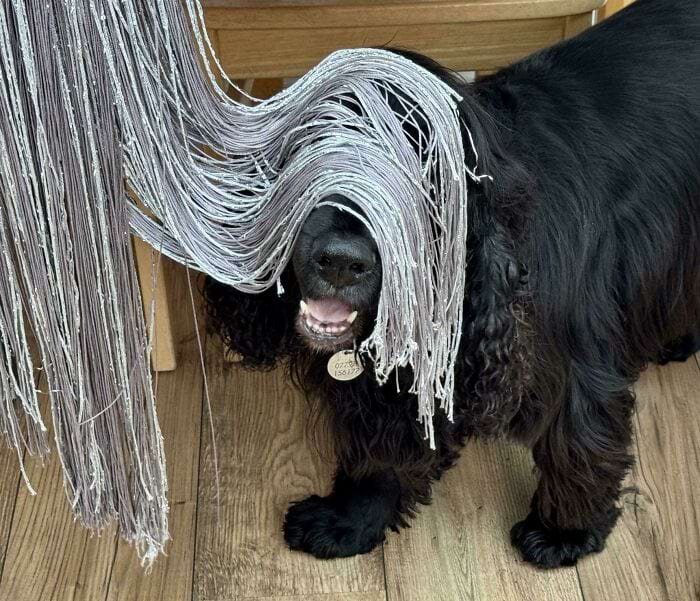 image-20241118172337-2