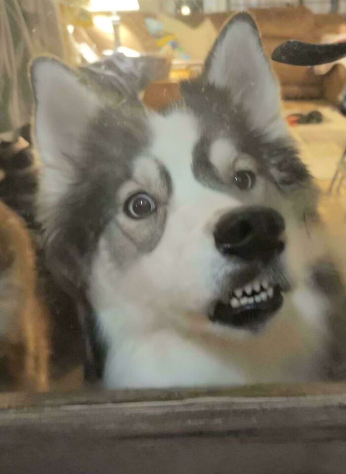 image-20241118172358-8