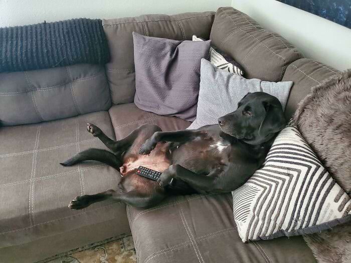 image-20241118172407-10