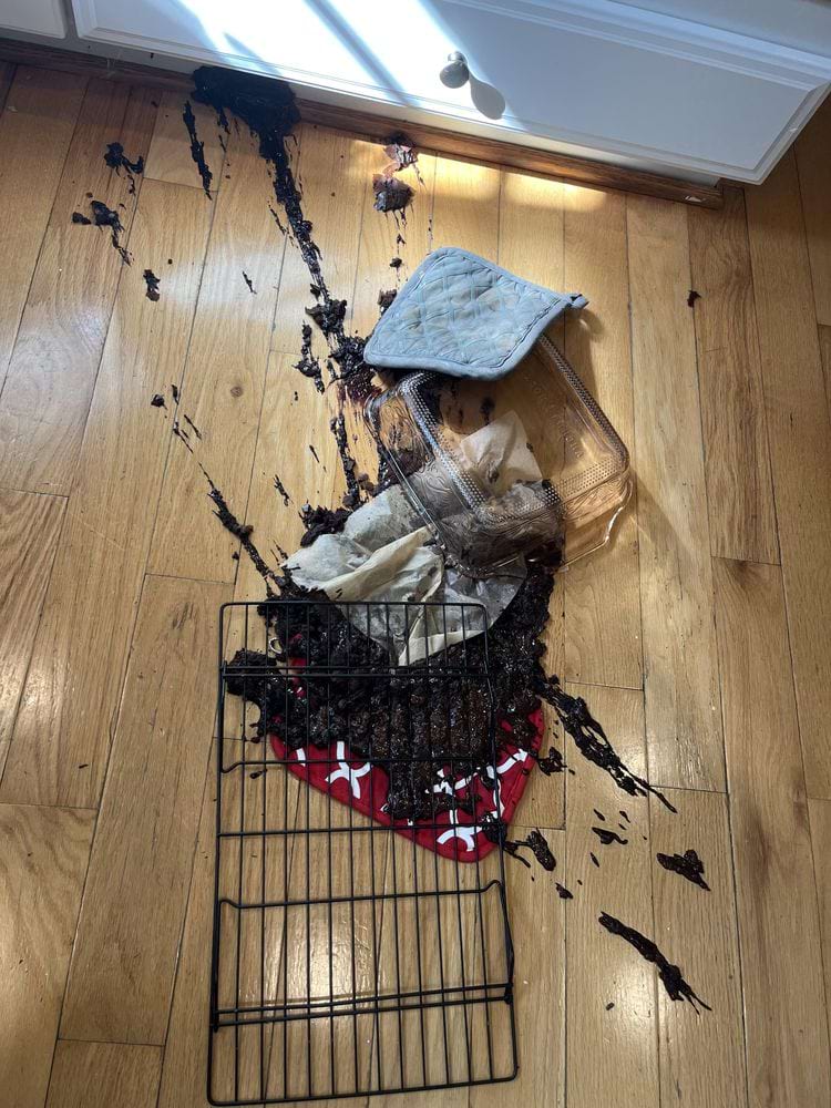 image-20241120114221-4