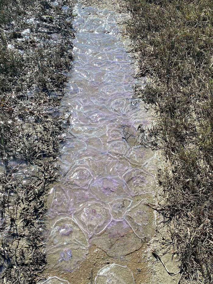 image-20241120161917-1