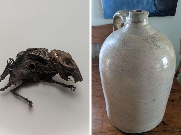 image-20241121134949-2