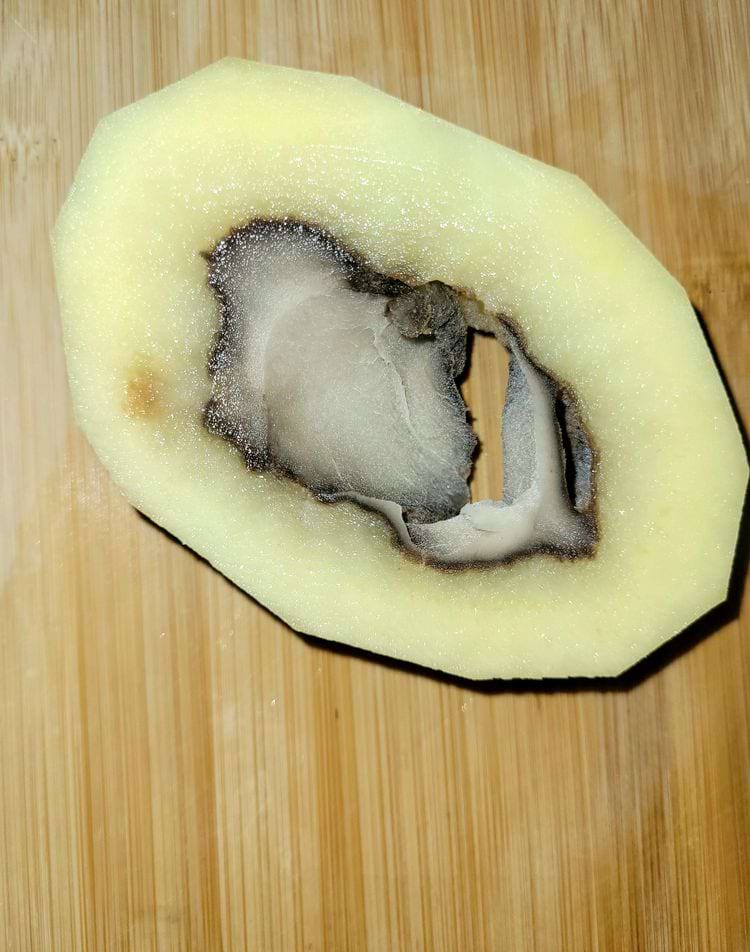 image-20241121135004-7