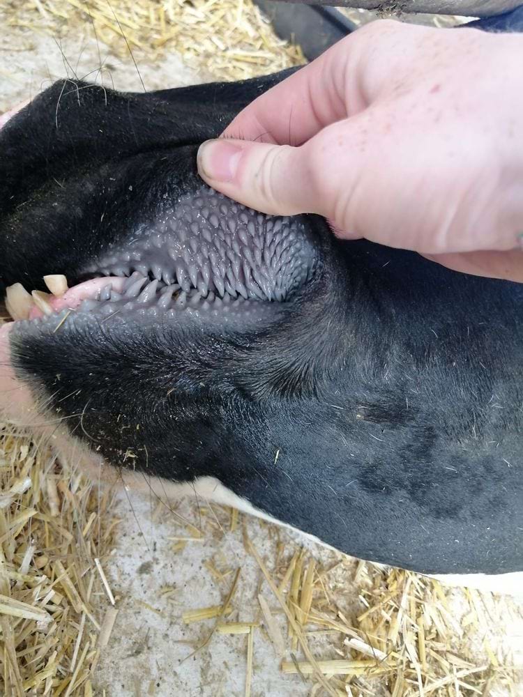 image-20241121135038-17