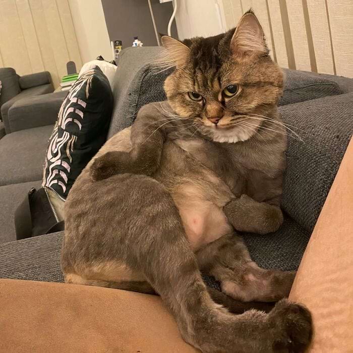 image-20241125124846-7