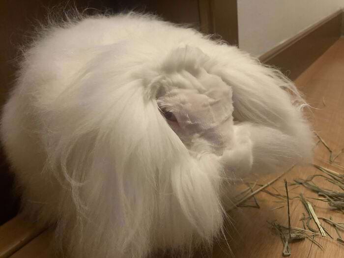 image-20241125124855-10