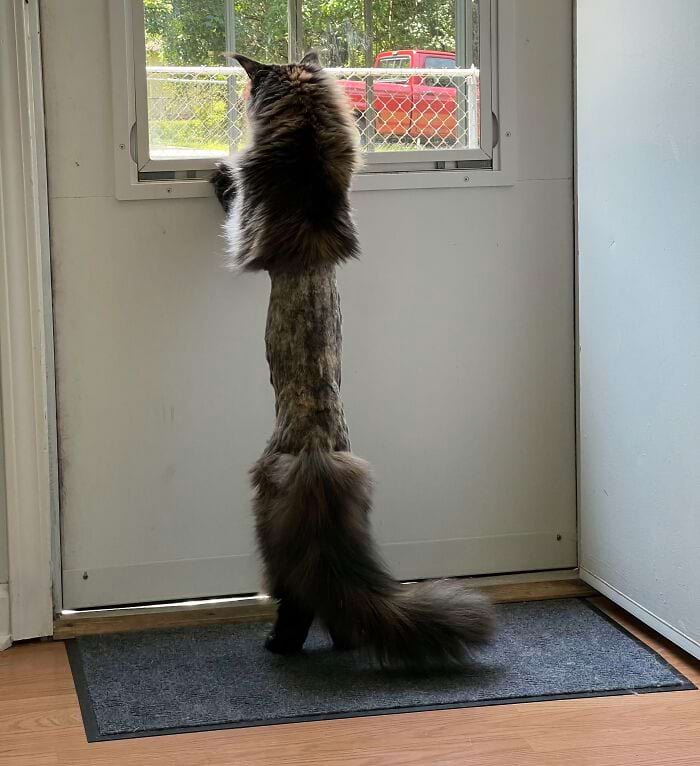 image-20241125124901-12