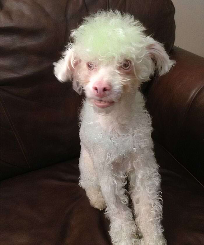 image-20241125124909-14