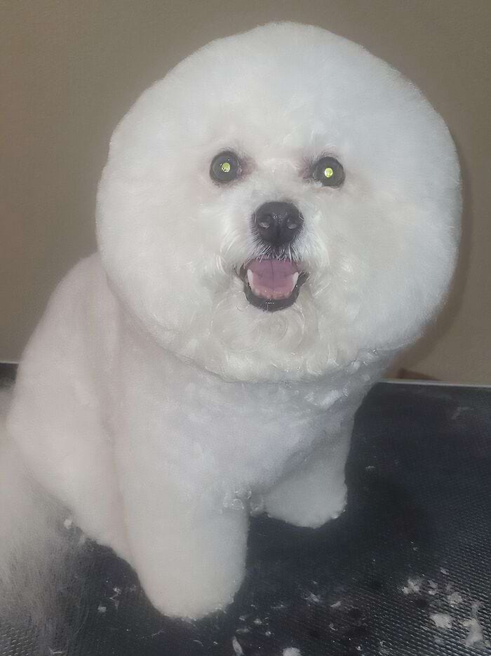 image-20241125124920-17