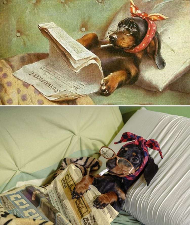 image-20241126090814-2