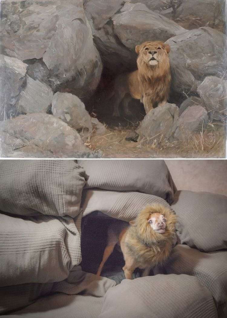 image-20241126091503-11