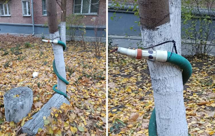 image-20241126102058-1