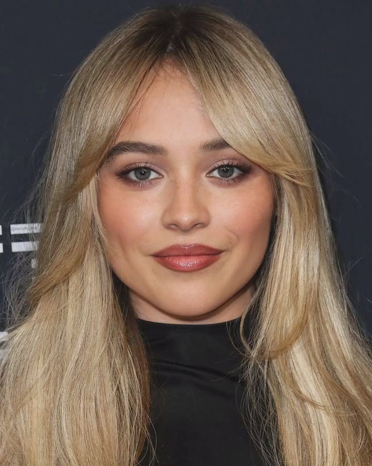 image-20241128105330-2