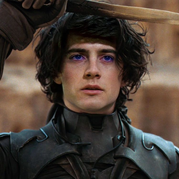 image-20241128105405-13