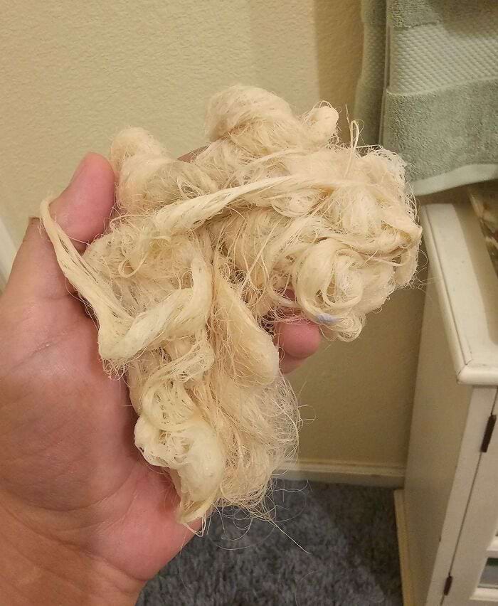 image-20241128125521-4