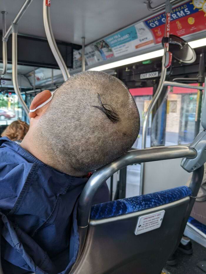 image-20241128125533-8