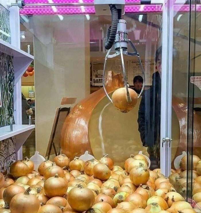 image-20241202145848-2