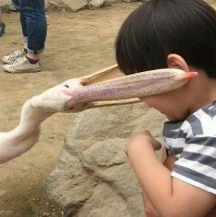 image-20241202145854-4