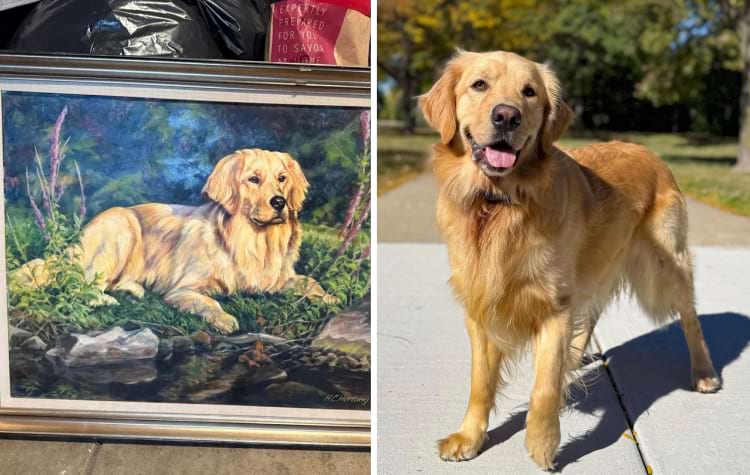 image-20241204141740-2