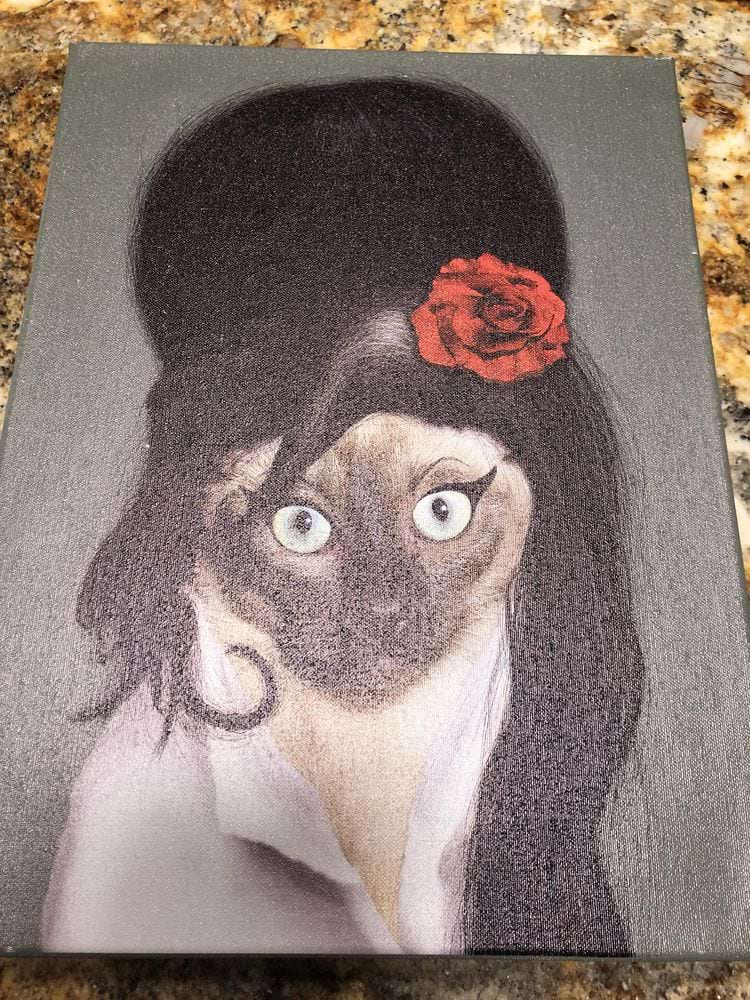 image-20241204141904-14