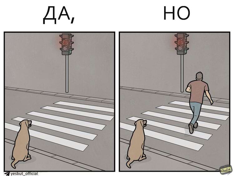 image-20241209111841-13