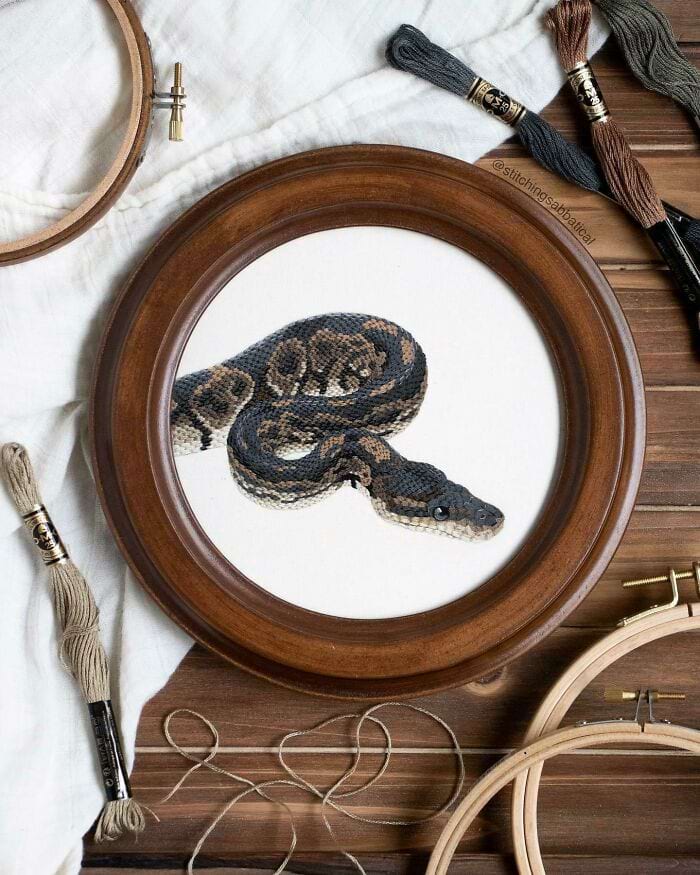 image-20241211142300-2