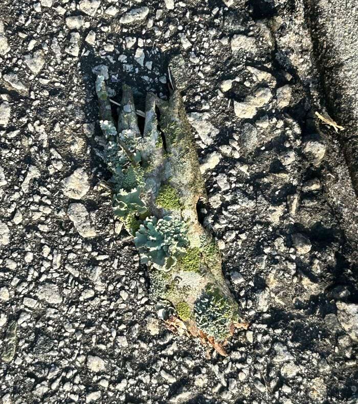 image-20241216144007-12