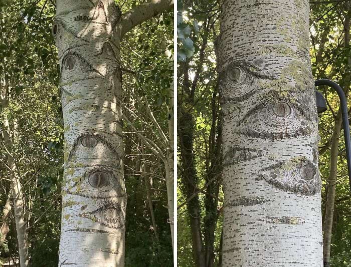 image-20241216144031-14